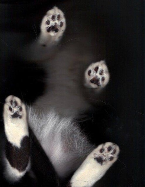 영이네 이미지
