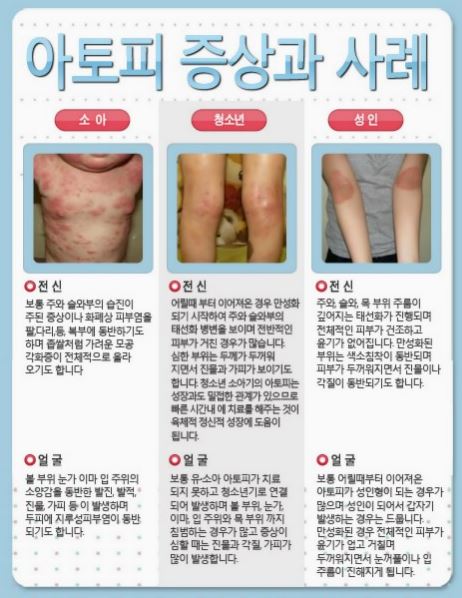 코디에코하우스 이미지