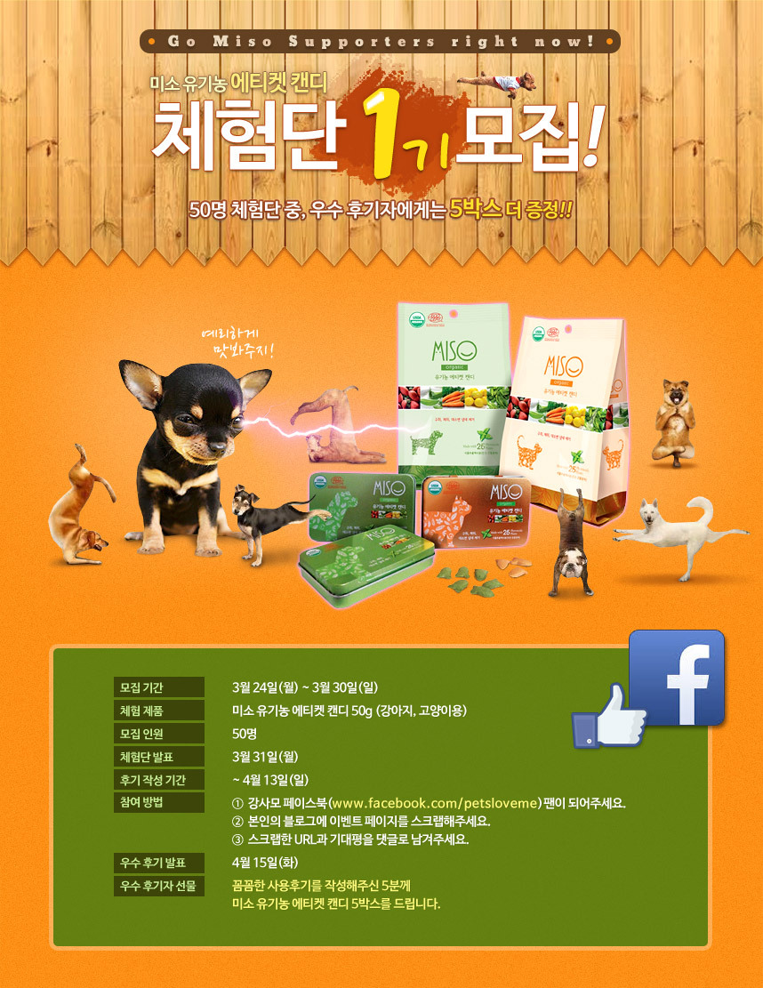 캔디캣 이미지