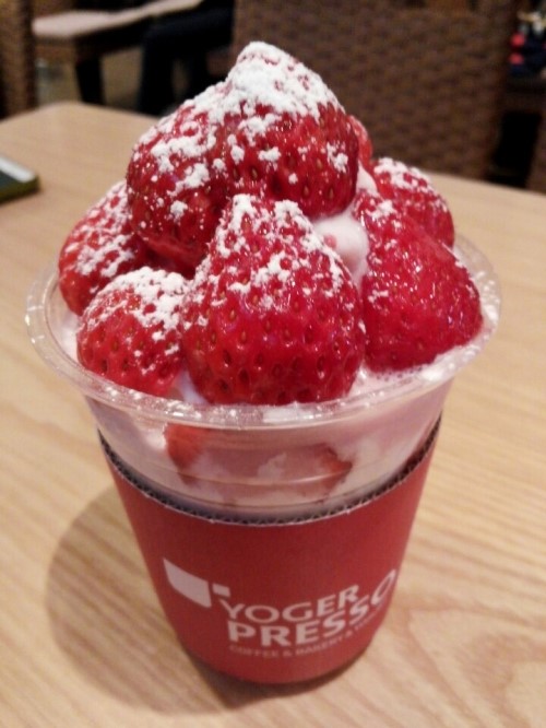 요거프레소 이미지