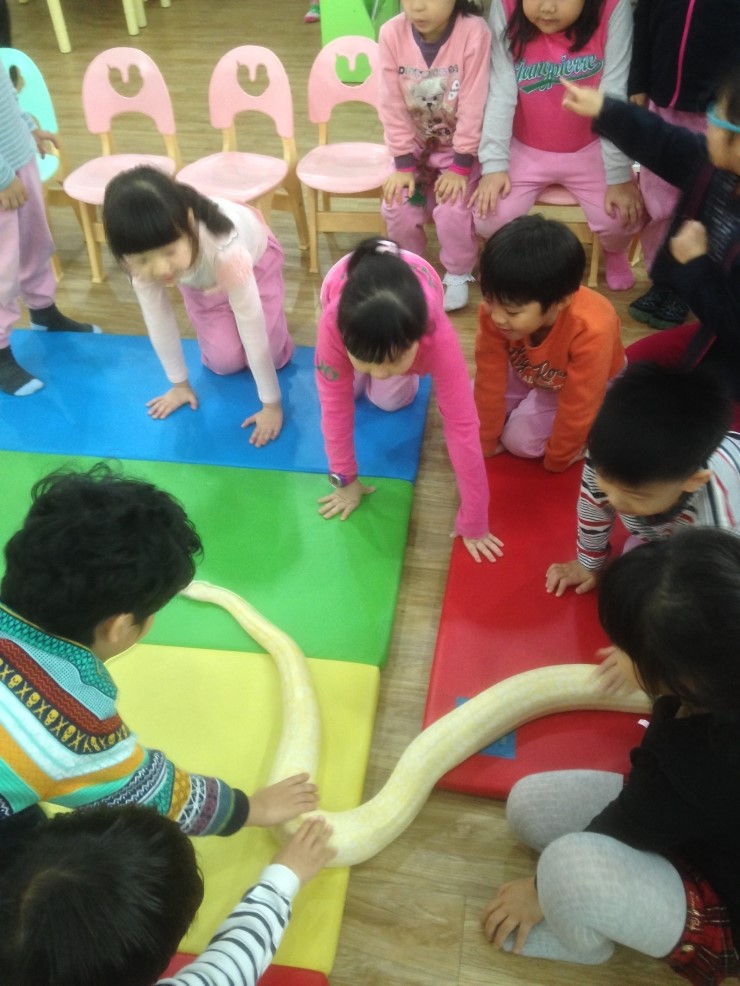 미림유치원 이미지