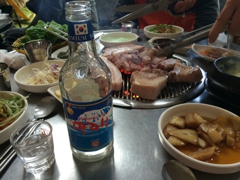 한라산똥돼지 이미지