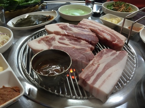 한라산똥돼지 이미지
