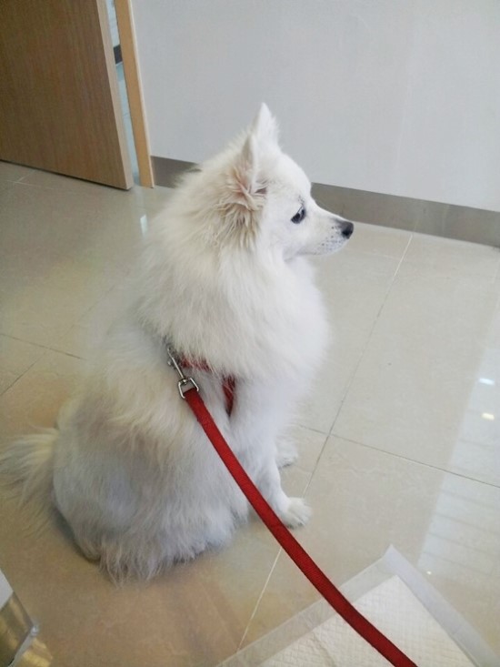 별난살롱 이미지