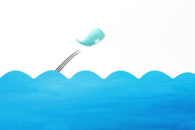 꿈꾸는 고래 이미지