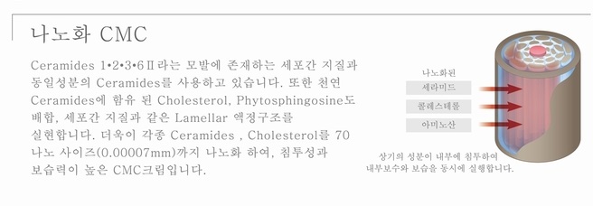 카로레더 이미지