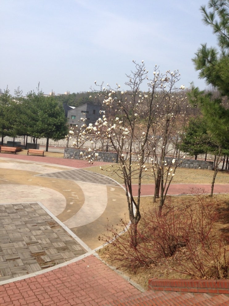 신성전기조명 이미지