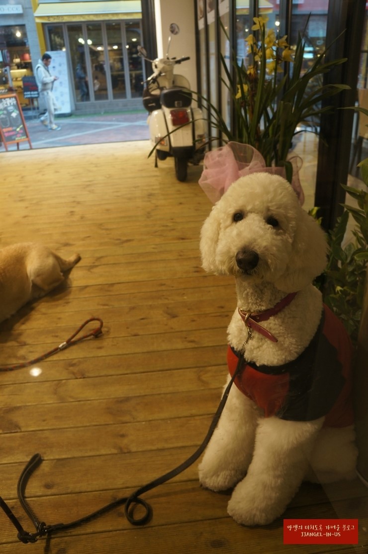옐로우스푼 이미지