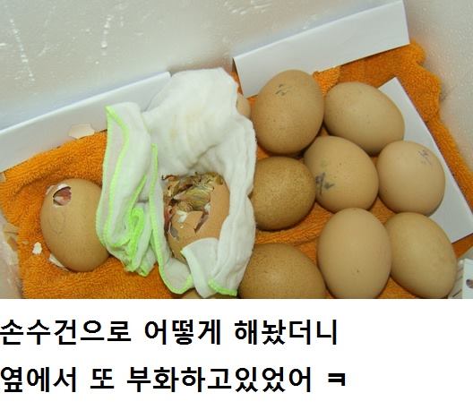탑마트 이미지