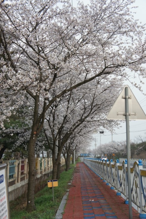 지리산 한우 직판장 이미지