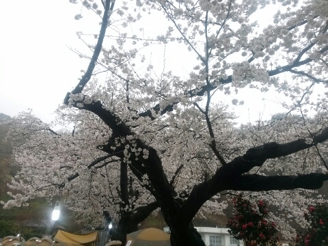 법인생태농부 이미지