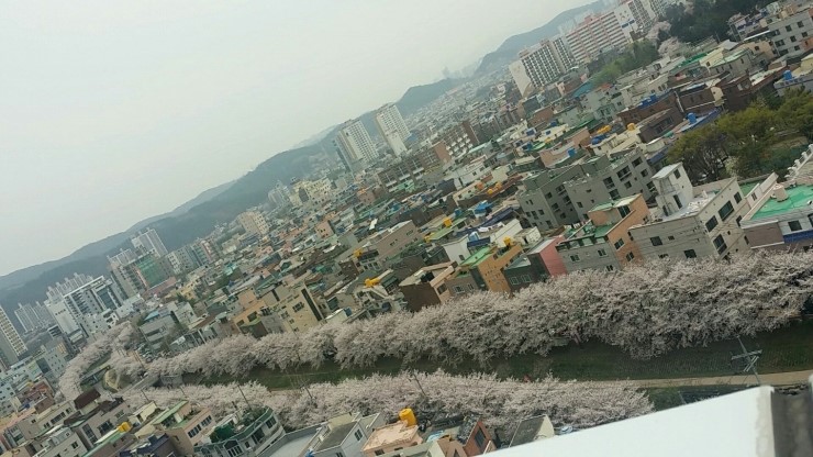 보림인테리어 이미지