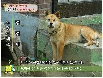 인 이미지