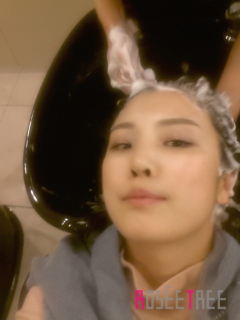 로제트리 이미지