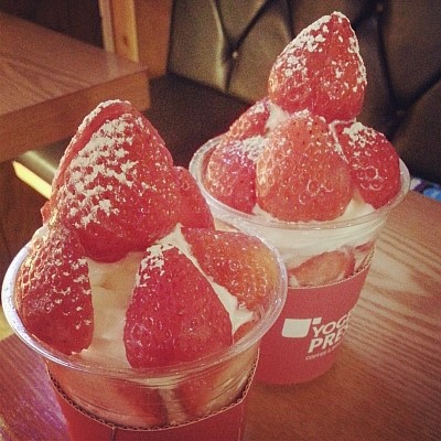 요거프레소 이미지