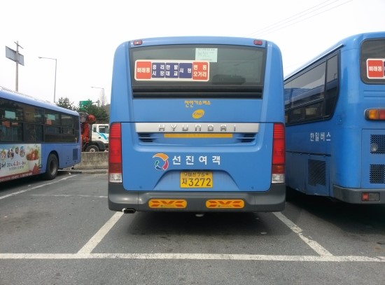 법동영진로얄시장 이미지