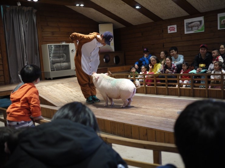 이천돼지 이미지