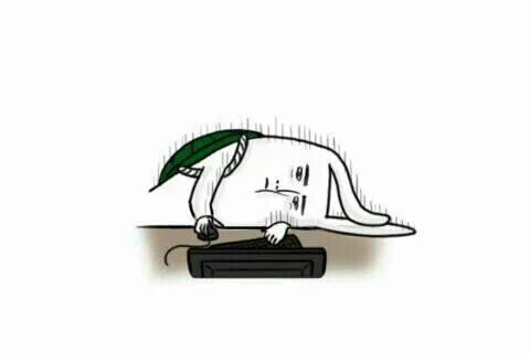 위더핏 이미지