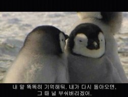 와이지몰 이미지