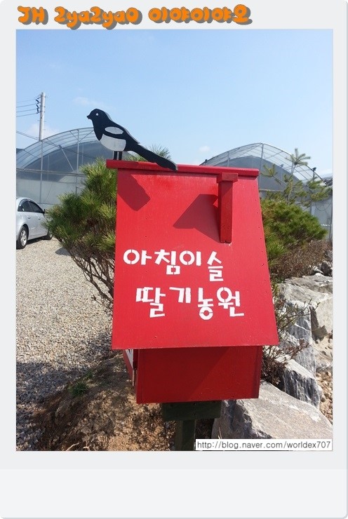아침이슬농원 이미지