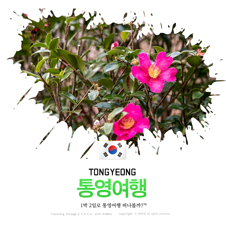앤화이트펜션.비치 이미지
