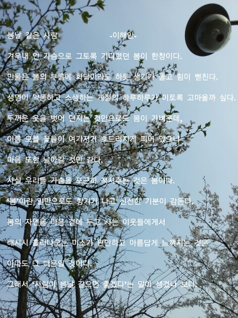 봄날같은하루 이미지
