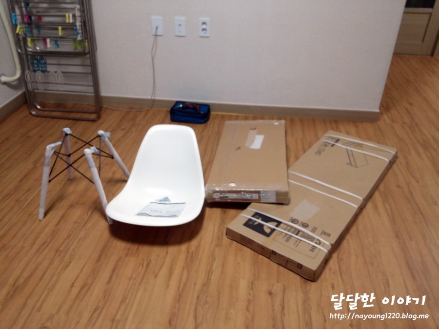 이젤리아 이미지