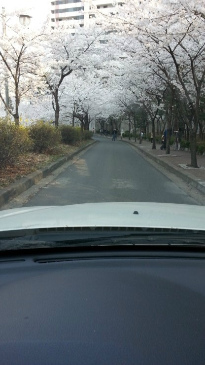 창현헤어 이미지