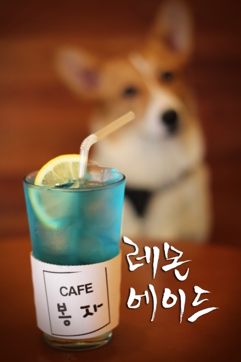 봉자네일 이미지