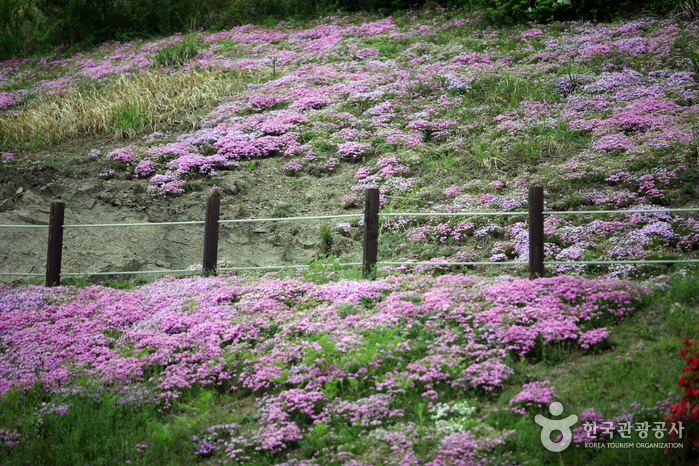 꽃동산화원 이미지