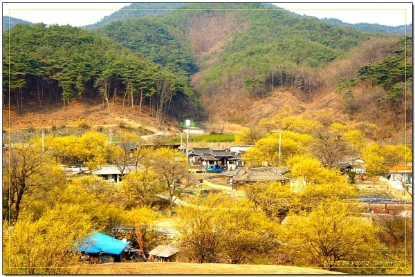 삼영떡방앗간 이미지