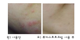 파파포포 이미지