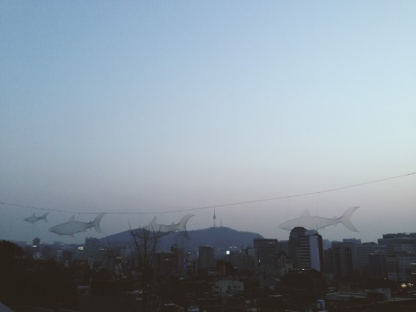 평양김밥 이미지