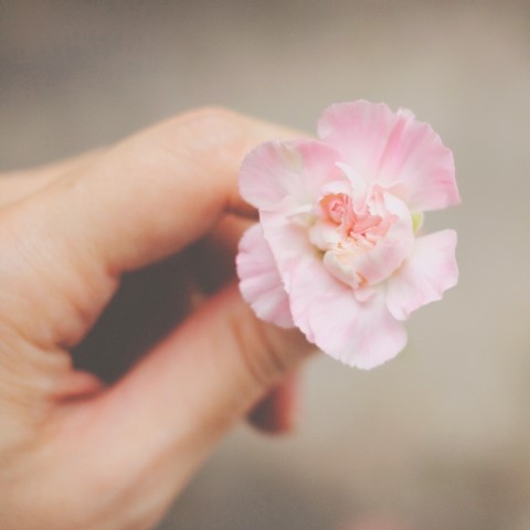 제이지니 이미지