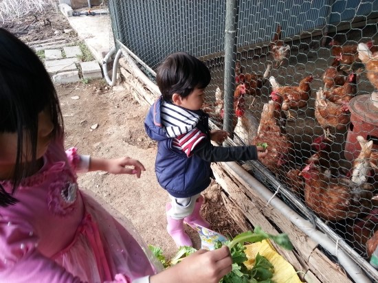 빵굽는 농부 이미지