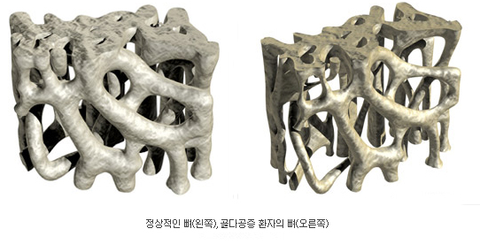동하식품 이미지