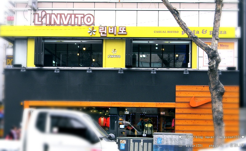 린비또 이미지