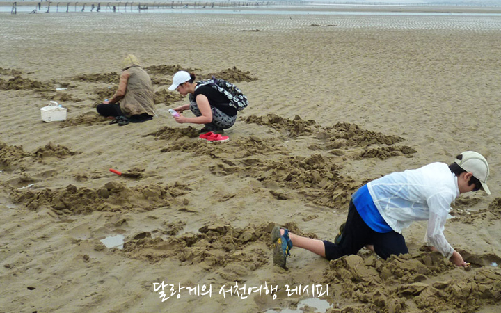 서해실비횟집 이미지