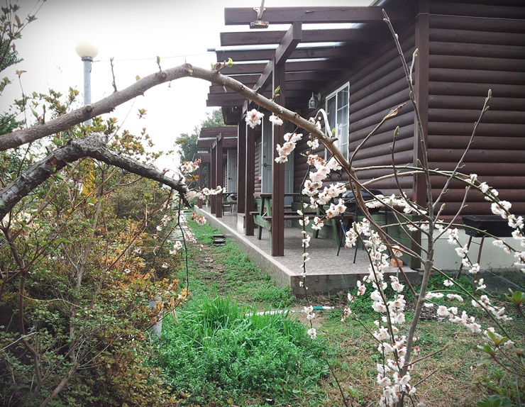 초록마을제주 이미지