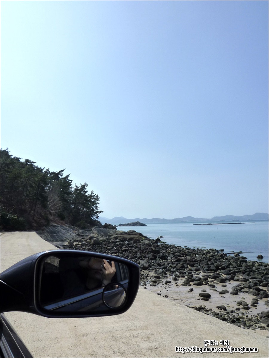 코델리아스파펜션 이미지