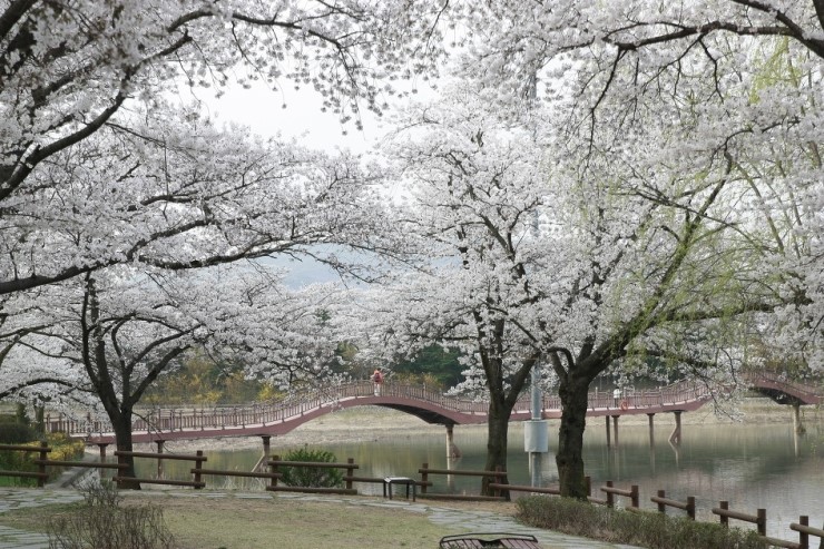 그리고경주 이미지