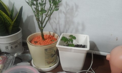 파머푸드 이미지