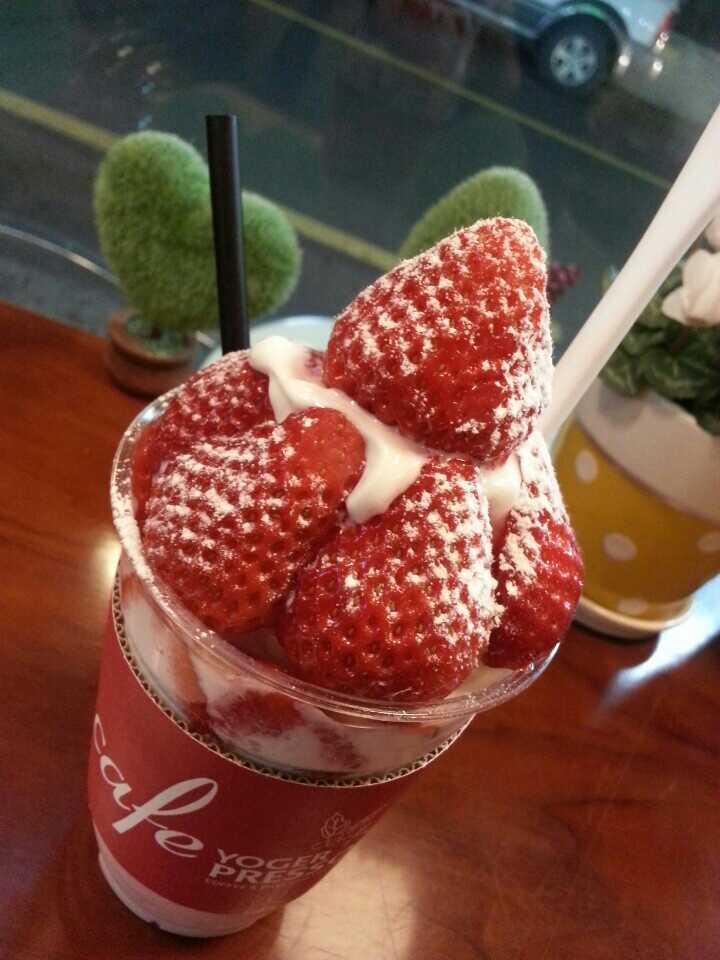 요거프레소경주 이미지
