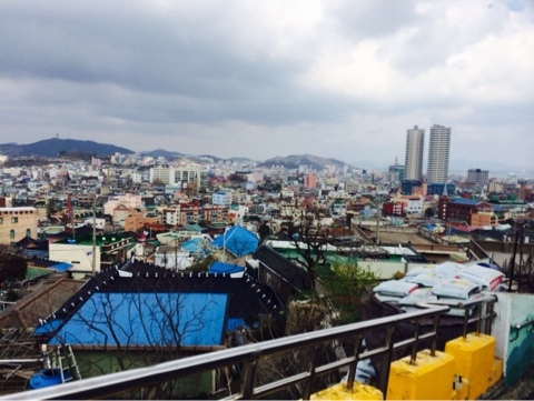 유달산 딸기 이미지