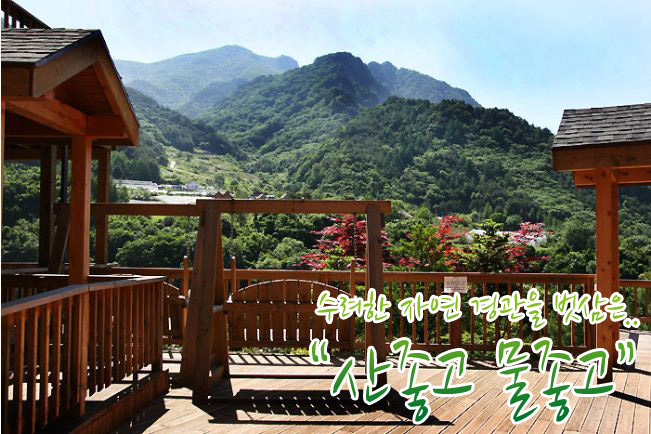 수려한창 이미지
