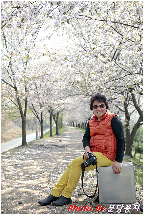 단혜 이미지