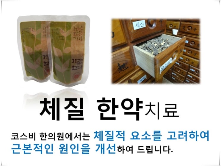 부산멍게 이미지