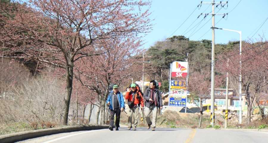 해피캠퍼 이미지