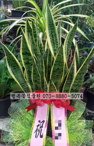 황진이룸 이미지