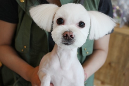 별난살롱 이미지